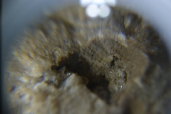 2016-11-30 15-52-34.JPG