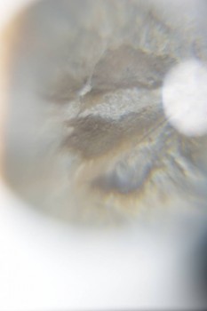 2016-11-30 15-54-26.JPG