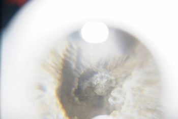 2016-11-30 15-54-58.JPG