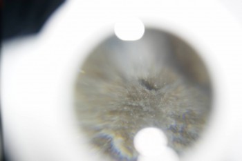 2016-11-30 15-55-22.JPG