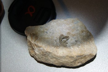 2016-11-30 15-56-00.JPG