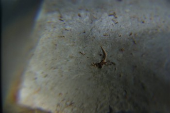 2016-11-30 15-58-06.JPG