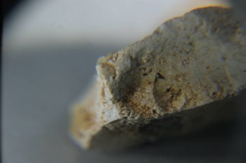 2016-11-30 15-59-16.JPG