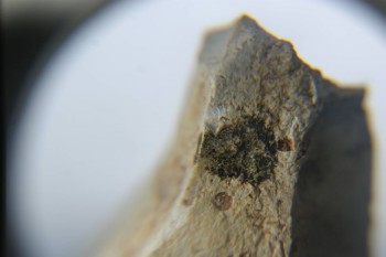 2016-11-30 15-59-54.JPG