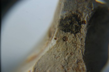 2016-11-30 16-00-00.JPG