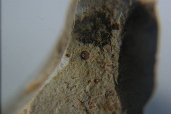 2016-11-30 16-00-26.JPG