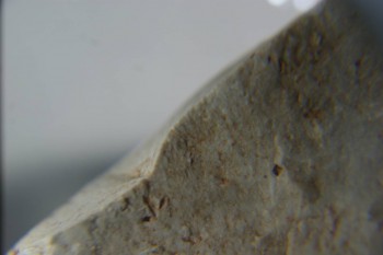 2016-11-30 16-02-38.JPG