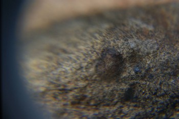 2016-11-30 16-04-08.JPG