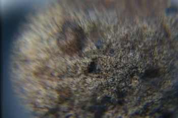 2016-11-30 16-04-22.JPG