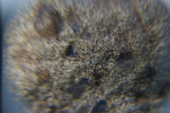 2016-11-30 16-04-26.JPG