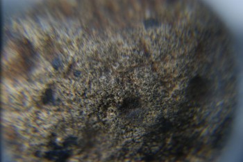 2016-11-30 16-04-34.JPG