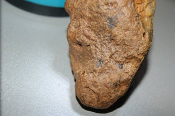 2016-11-30 16-08-58.JPG