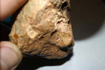 2016-11-30 16-16-48.JPG