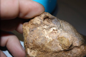 2016-11-30 16-17-08.JPG