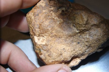 2016-11-30 16-17-22.JPG