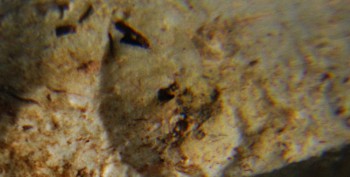 2016-11-30 15-59-16.серп3.jpg