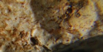 2016-11-30 15-59-16.серп4.jpg