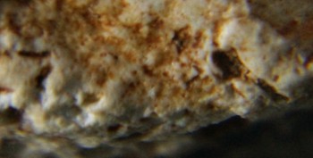 2016-11-30 15-59-16.серп5.jpg