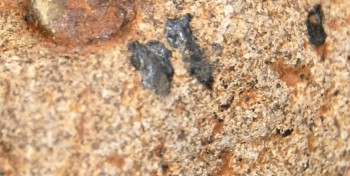 2016-11-30 16-06-06.Правда2.jpg