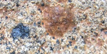 2016-11-30 16-06-20.Правда3.jpg