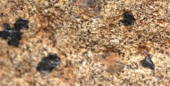 2016-11-30 16-07-20.Правда4.jpg