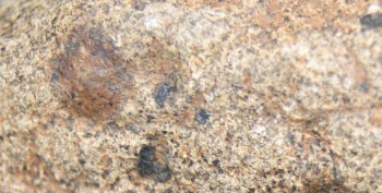 2016-11-30 16-07-20.Правда5.jpg