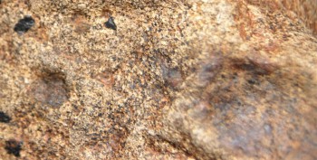 2016-11-30 16-07-20.Правда6.jpg