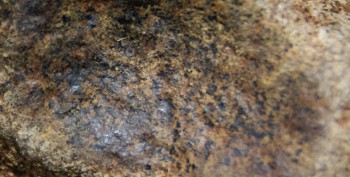 2016-11-30 16-07-38.Правда7.jpg