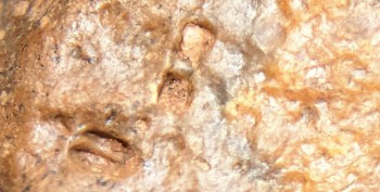 2016-11-30 16-09-34.Правда9.jpg