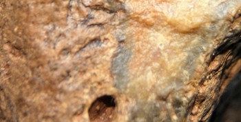 2016-11-30 16-09-34.Правда10.jpg