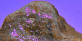 DSC02813.черт (2).jpg