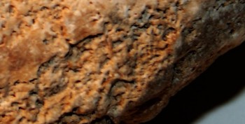 DSC02787.серд3 (2).jpg