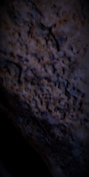 DSC02787.серд3 (3).jpg