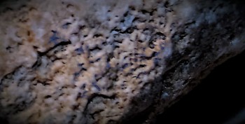 DSC02787.серд3 (4).jpg