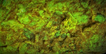 DSC02818.сова (2).jpg