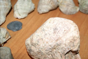 2017-02-02 17-47-36.JPG