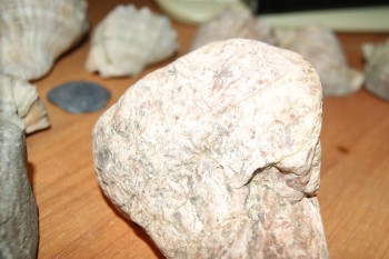 2017-02-02 17-47-42.JPG