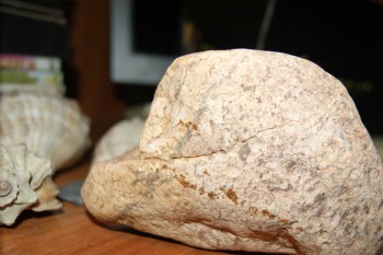 2017-02-02 17-48-42.JPG