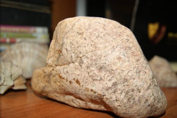 2017-02-02 17-48-50.JPG