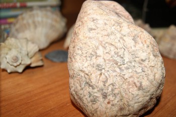 2017-02-02 17-49-14.JPG