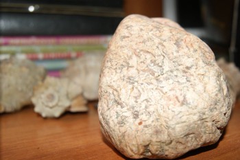 2017-02-02 17-49-22.JPG