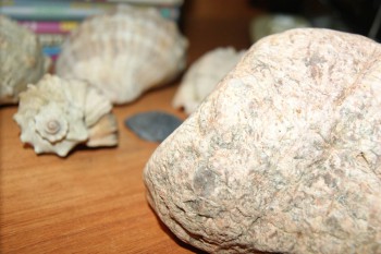 2017-02-02 17-49-44.JPG