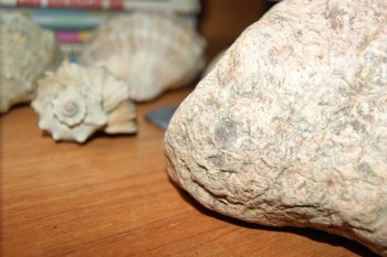 2017-02-02 17-49-48.JPG