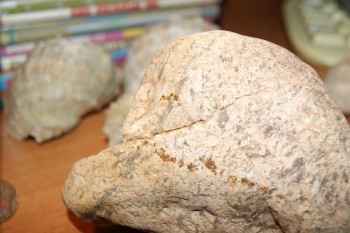 2017-02-02 17-52-02.JPG