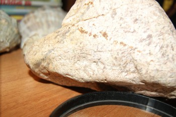 2017-02-02 17-52-30.JPG