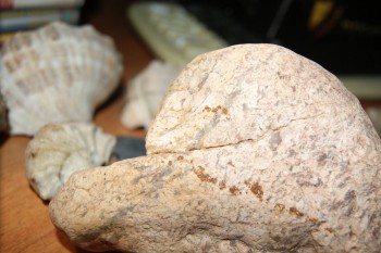 2017-02-02 17-52-52.JPG