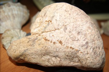 2017-02-02 17-52-56.JPG