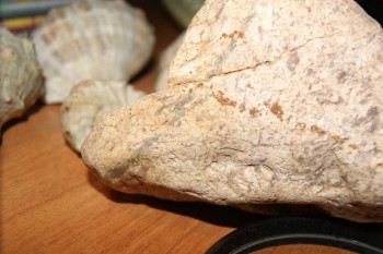 2017-02-02 17-53-04.JPG