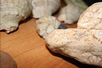 2017-02-02 17-53-10.JPG