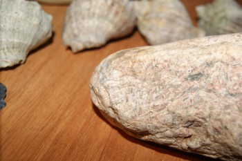 2017-02-02 17-53-54.JPG